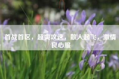 首战首区，超爽攻速，散人起飞，激情良心服