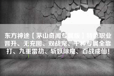 东方神途【茅山奇闻专属版】特色职业晋升、无充图、双战宠、千种专属全靠打、九重雷劫、斩妖除魔、百战成仙！