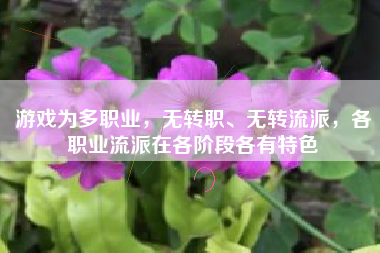 游戏为多职业，无转职、无转流派，各职业流派在各阶段各有特色