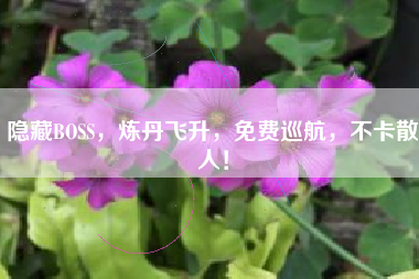 隐藏BOSS，炼丹飞升，免费巡航，不卡散人！