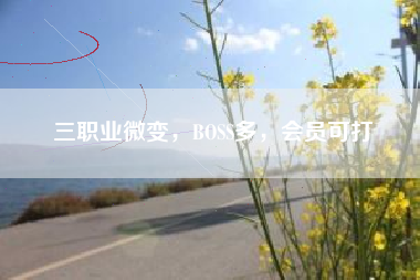 三职业微变，BOSS多，会员可打